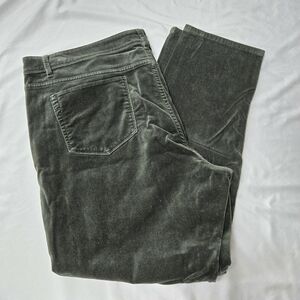 J. Jill Dark Green Velvet Ankle Straight Leg Pants